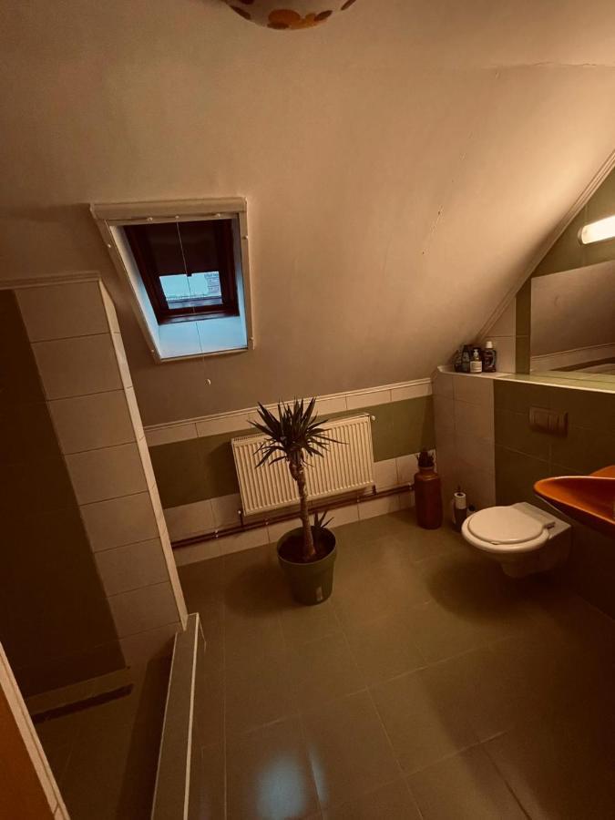 Casa Verde Foeni Eksteriør bilde
